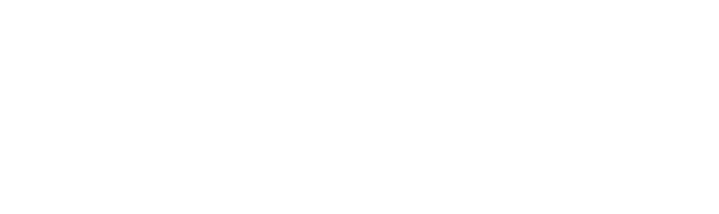 logocontrolvial